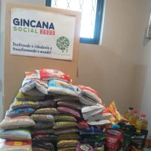 resultado-gincana-social-2023-alimentos-arrecadados (2)