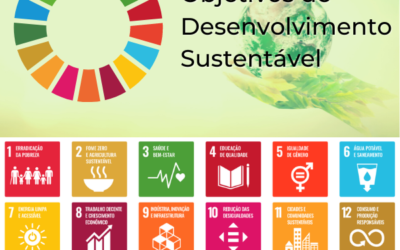 ODS e Inteligência Social