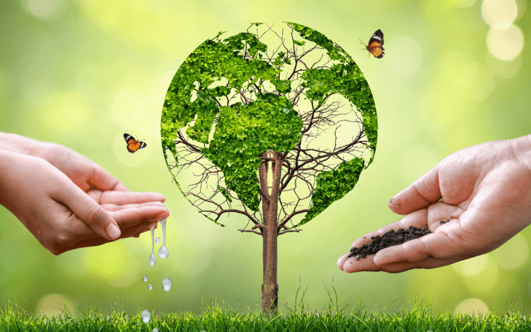 Como a Educação Ambiental pode sair da teoria e virar prática na escola?