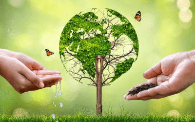 Como a Educação Ambiental pode sair da teoria e virar prática na escola?