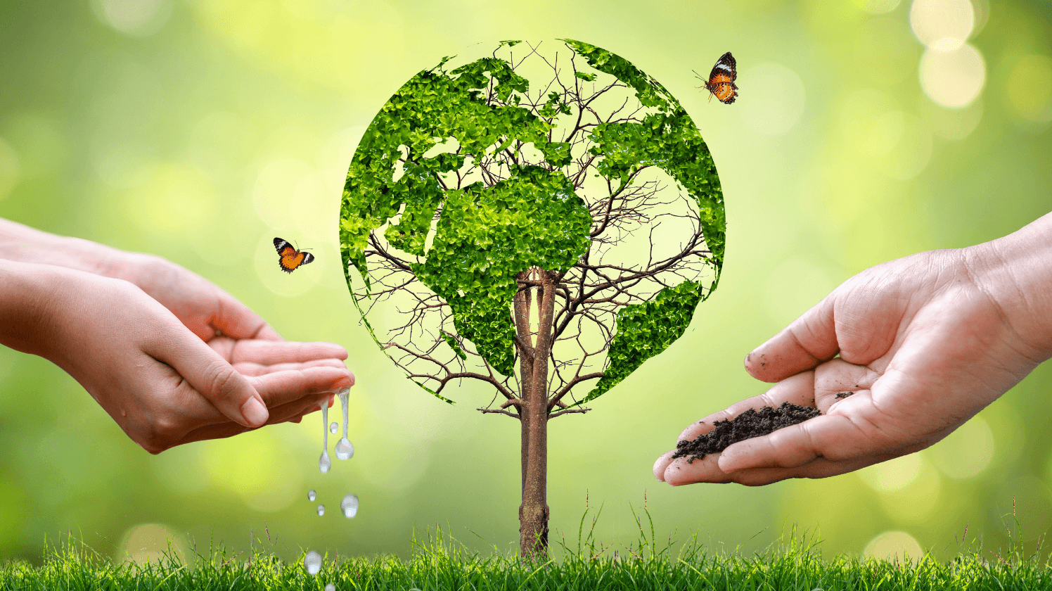 Alunos participando de atividade de educação ambiental na escola com foco em sustentabilidade e formação cidadã