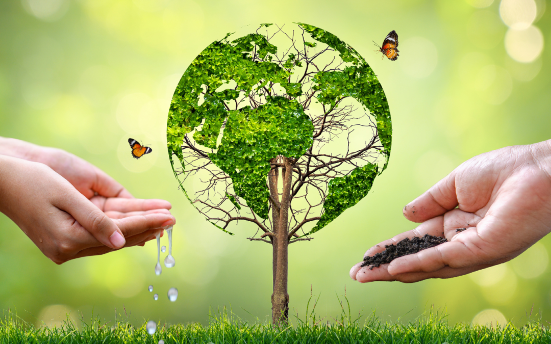 Como a Educação Ambiental pode sair da teoria e virar prática na escola?