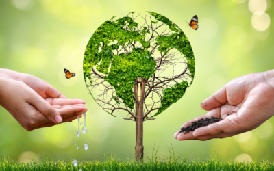 Como a Educação Ambiental pode sair da teoria e virar prática na escola?